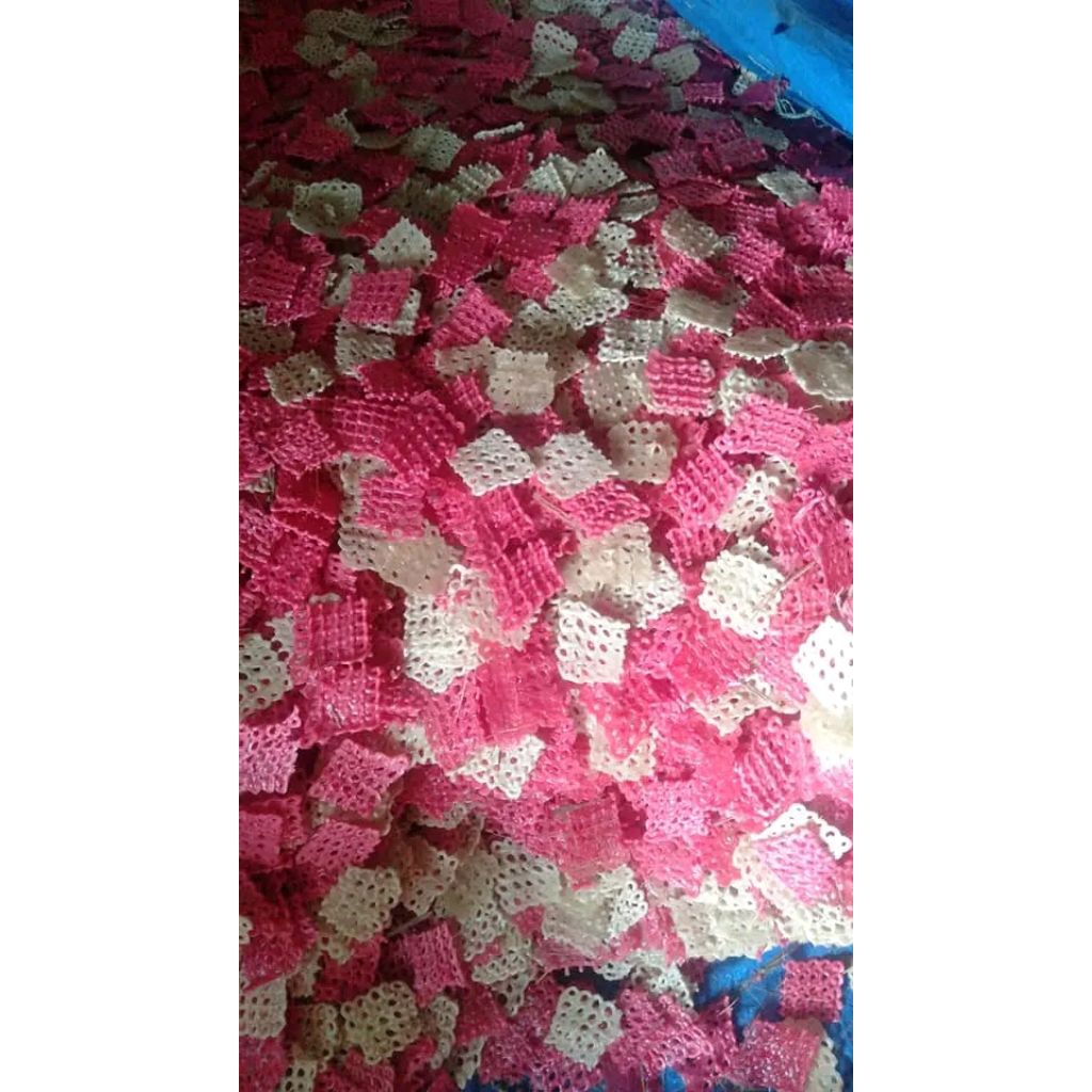 

kerupuk mentah pasir/minyak500g