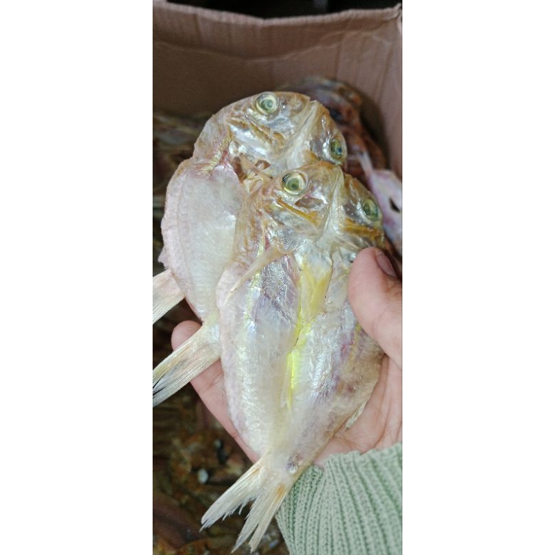 

Ikan Asin Cocok Makan Dengan Nasi Jagung Untuk Kemasan 1kg