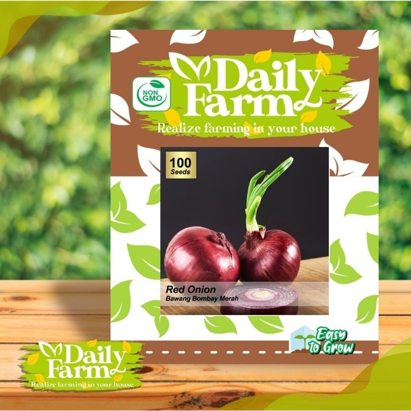 Benih Sayur Bawang Bombay Merah - Red Onion - Daily Farm