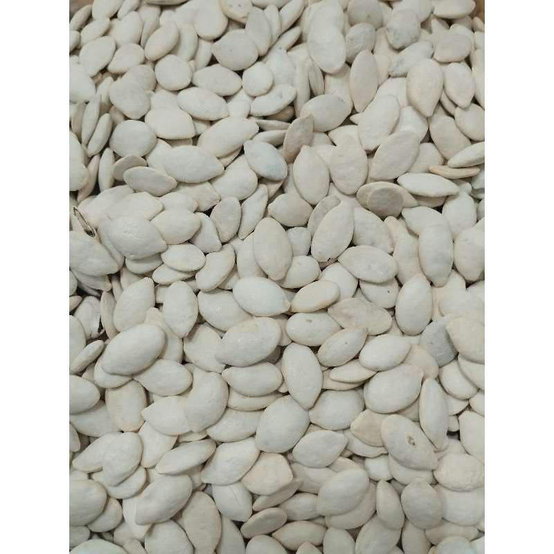 

KWACI/ KUACI BIJI LABU PUTIH 500GRAM