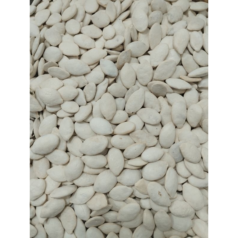 

KWACI/ KUACI BIJI LABU PUTIH 500GRAM