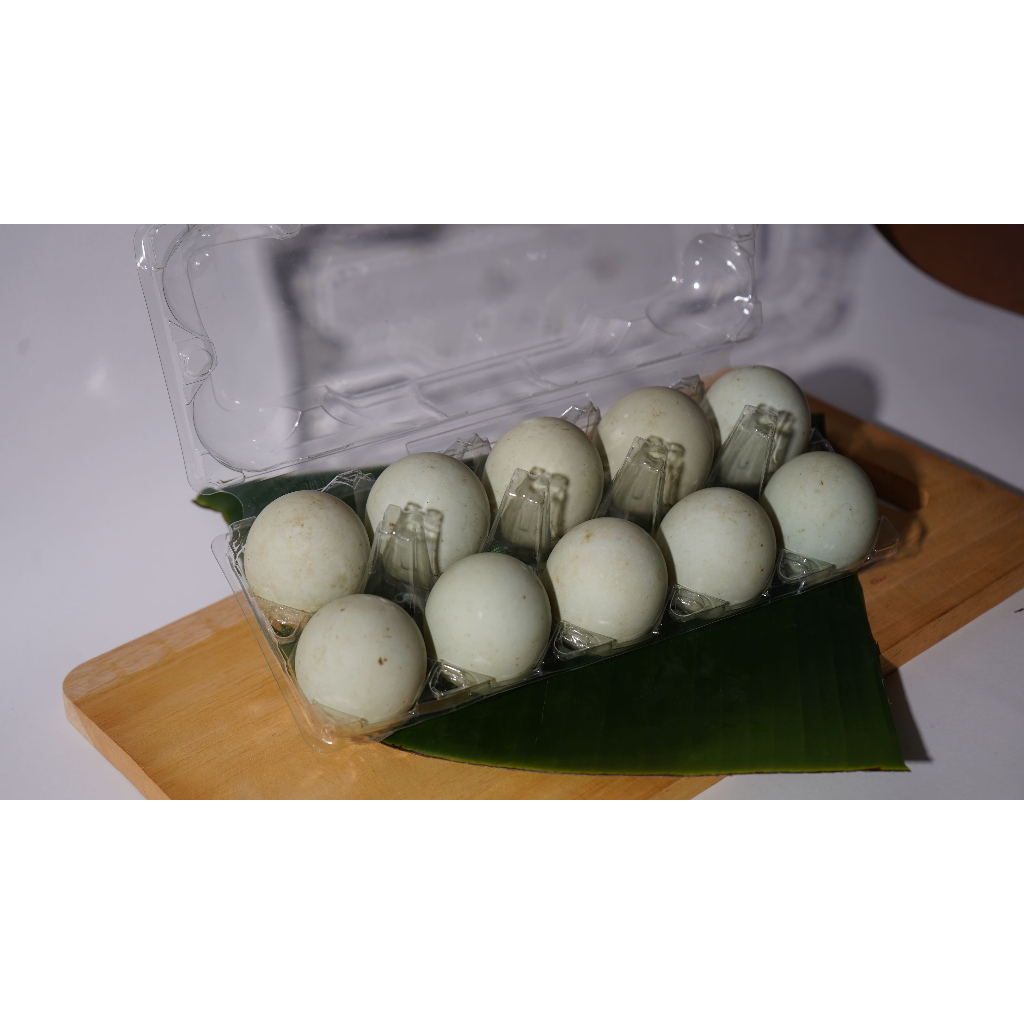 

Telur Bebek (mentah)