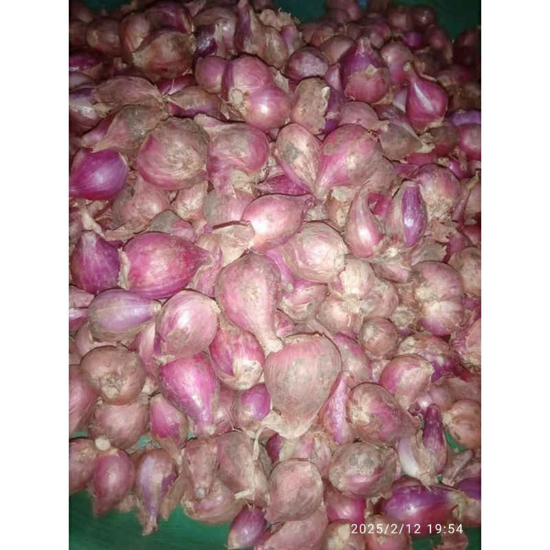 

BAWANG MERAH KERING BREBES 1KG 1/2KG 1/4KG GEDE