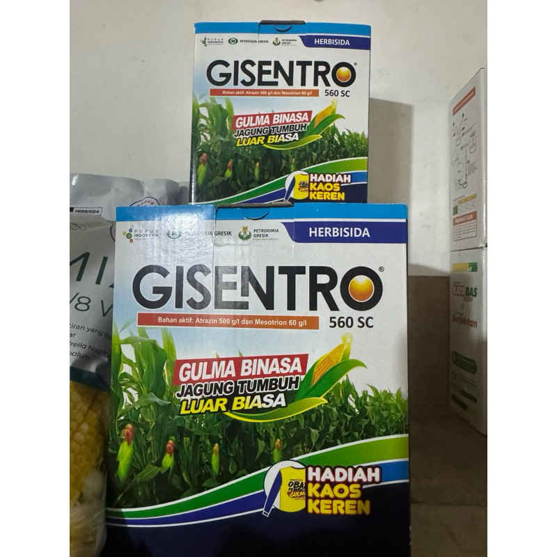 gisentro 500ml