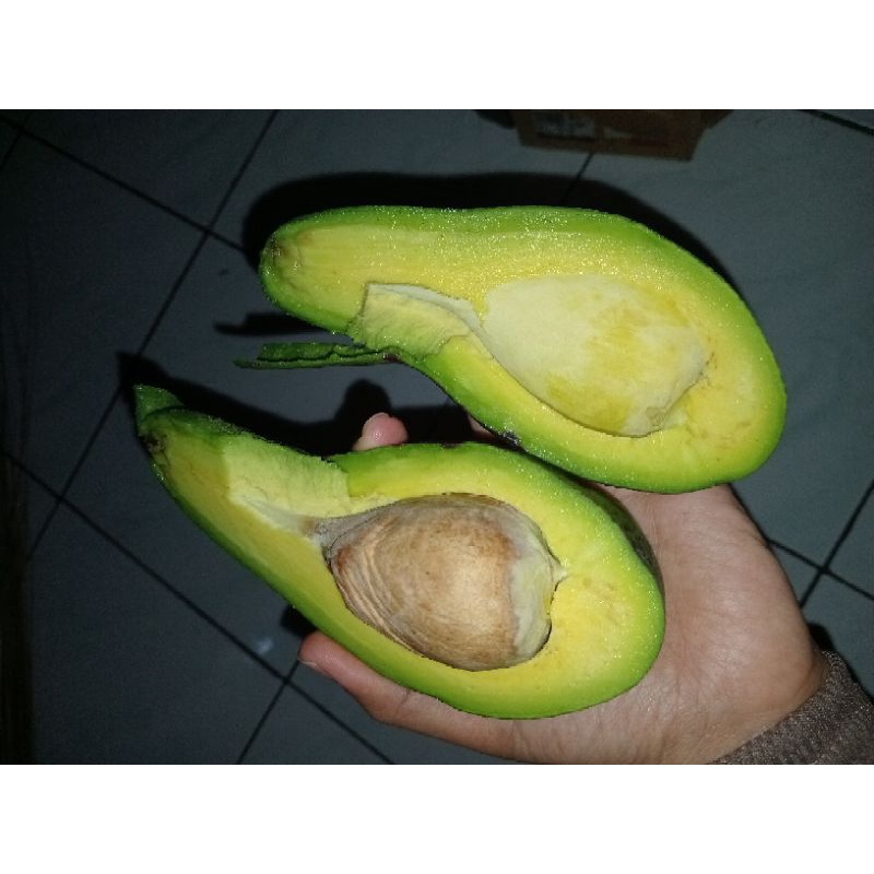 

Alpukat Mentega 1 kg isi 2/3/4/5/6