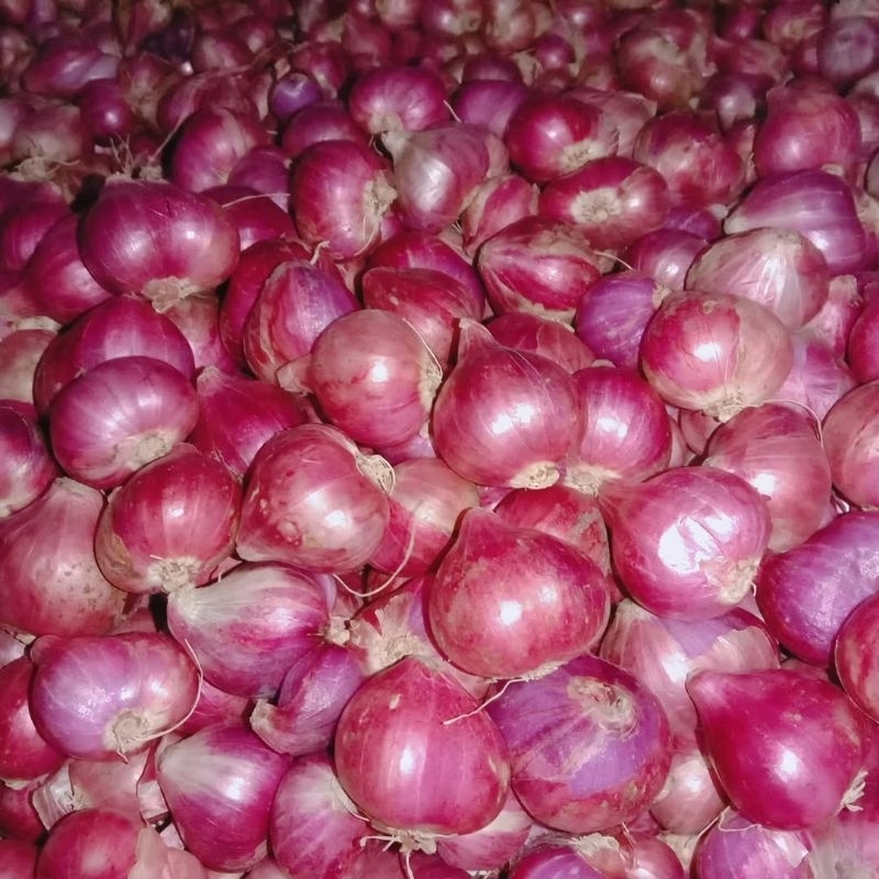 

BAWANG MERAH SUPER 1kg
