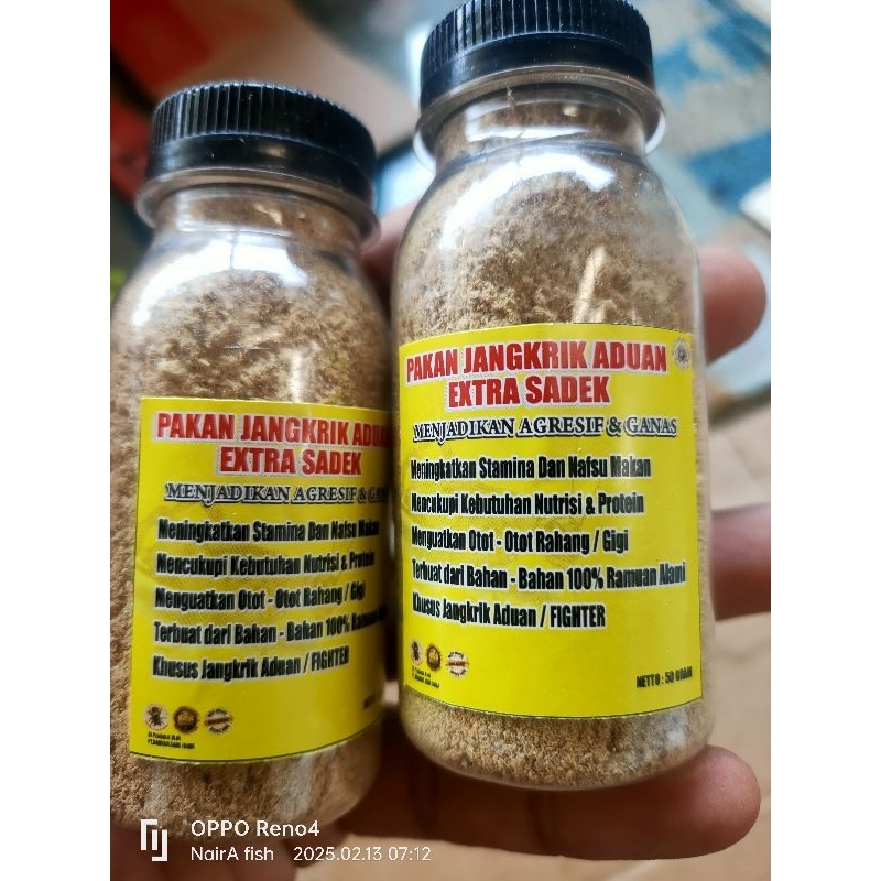 sadek jamu perangsang mental jangkrik