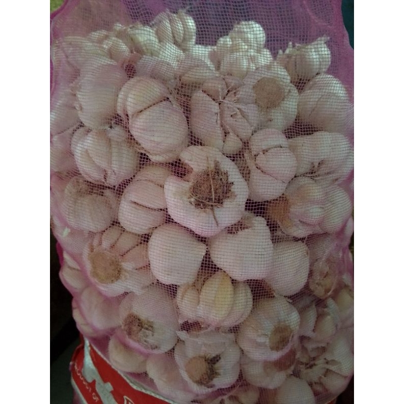 

bawang putih pilihan bersih bagus dan berkualitas
