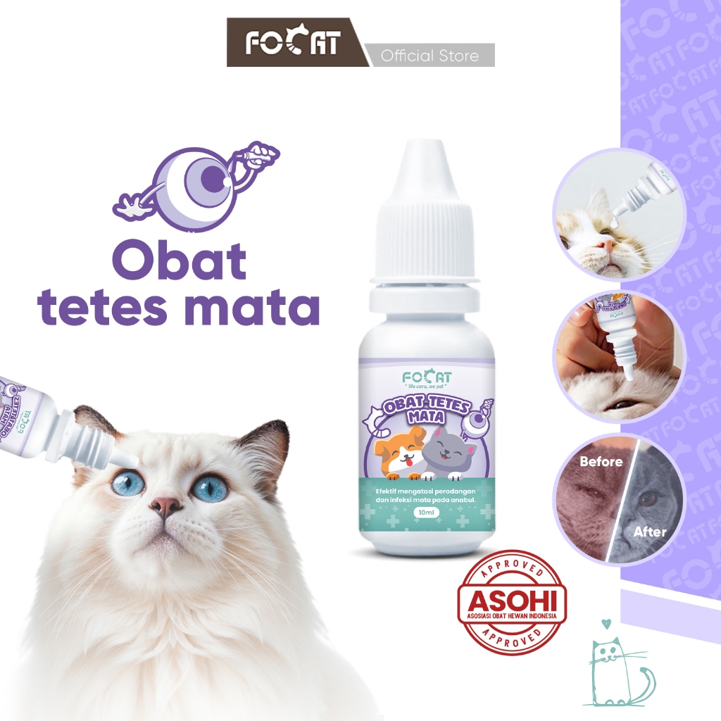 [ASOHI CERTIFIED] FOCAT Obat Tetes Mata Untuk Kucing Anjing N19 Pet Eyes Drop 10ml/Obat Tetes Belekan Merah Anabul