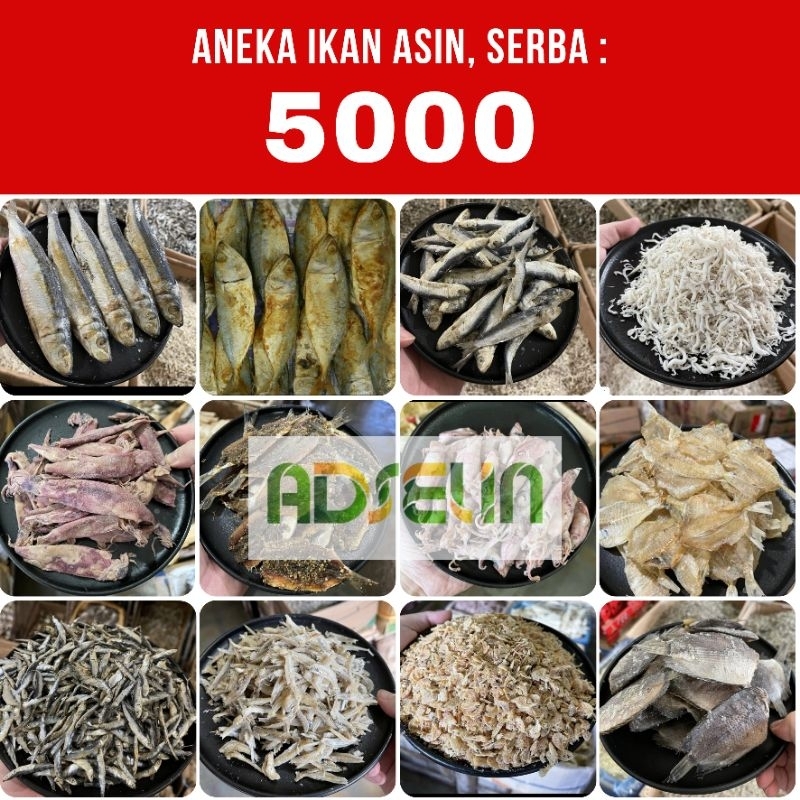 

Ikan Asin Serba 5000 Jengki Belah Peda Merah Cumi Sepat Rebon Jambal Roti Kapasan Bulu Ayam Selayang