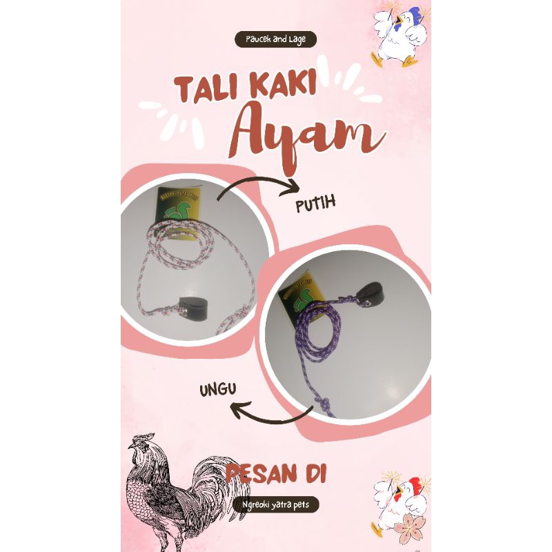 tali jemur ayam panjang tali 1meter