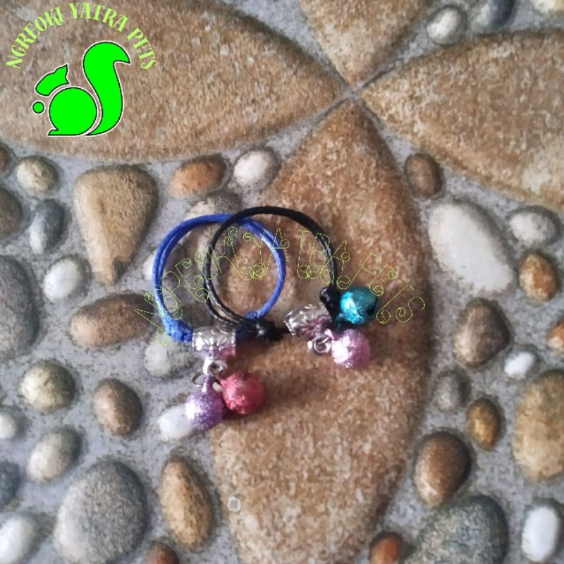 kalung tupai, sg, bajing dan hewan kecil lainnya, bahan tali korea