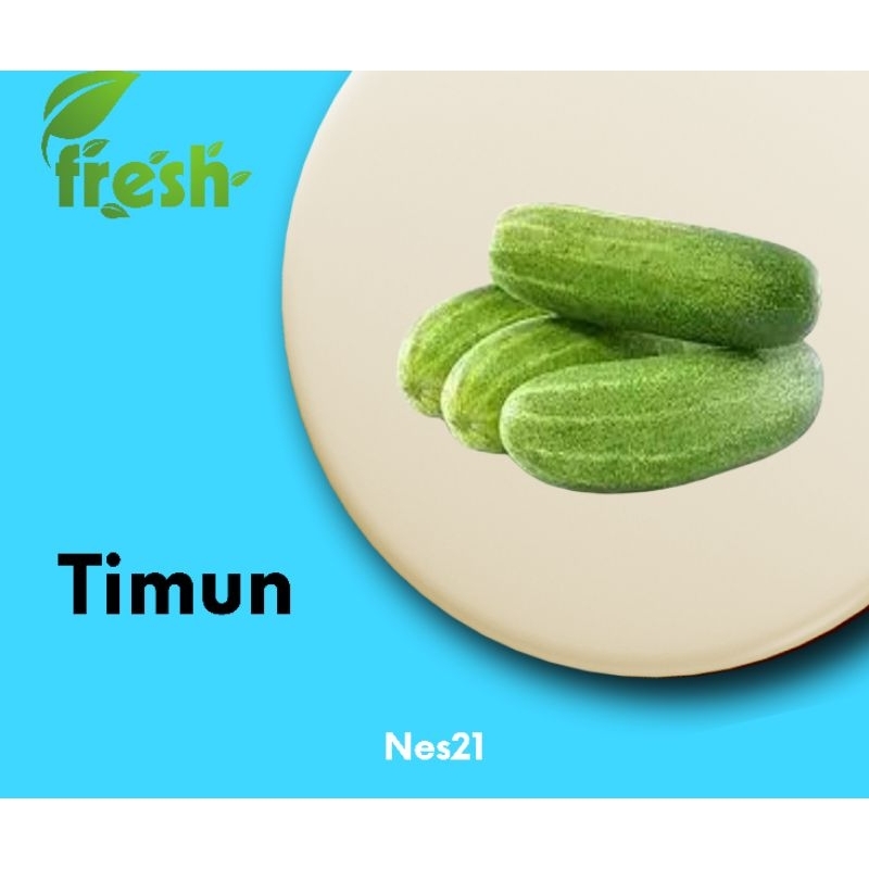

Nes21 Sayur Timun / Segar / H+1
