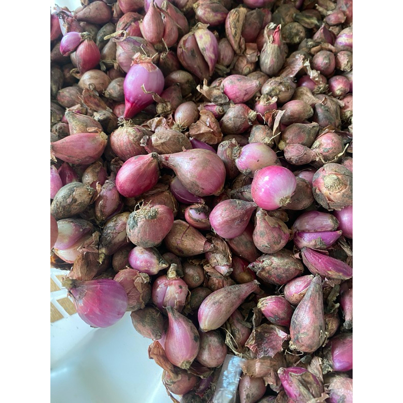 

Bawang Merah Super 1 kg size sedang - besar