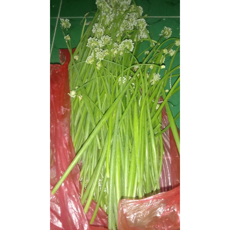 

kembang bawang merah 1/2kg