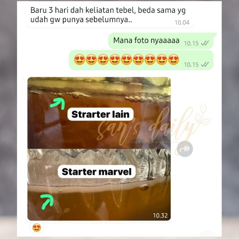 

STARTER KOMBUCHA - Premium - Usia Tua - Air Aja - Gula Rendah