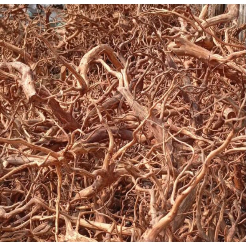 Kayu Rasamala Aquascape