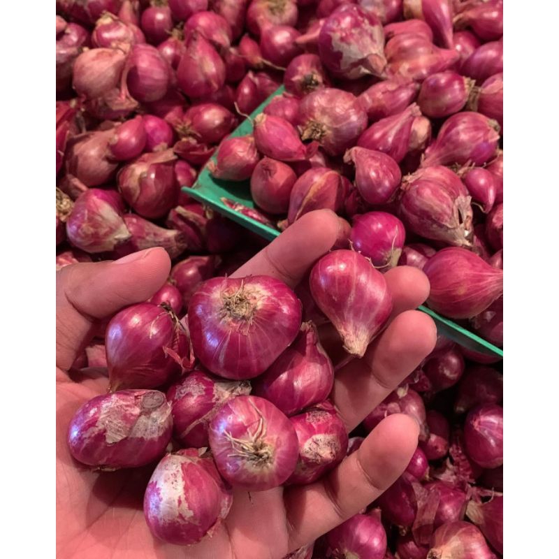 

BAWANG MERAH 1kg MURAH KUALITAS TERBAIK LOKAL PROBOLINGGO