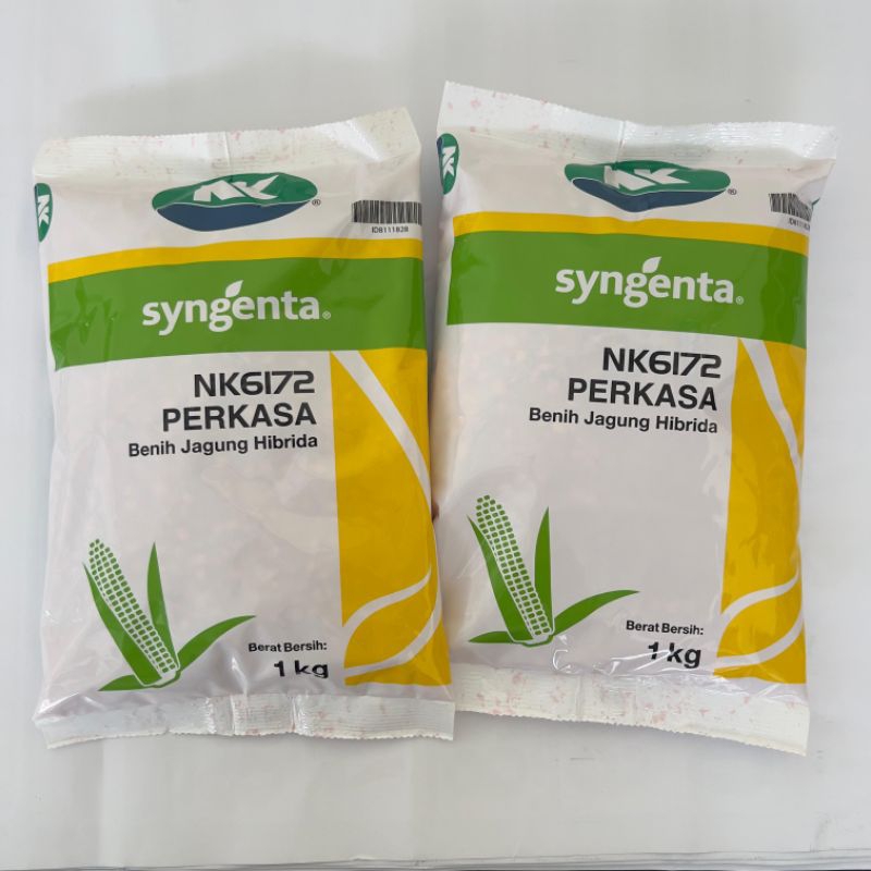 Benih Jagung NK 6172 PERKASA Original @1Kg