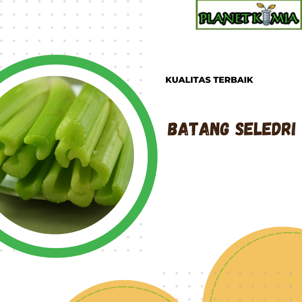 

ekstrak batang seledri best product