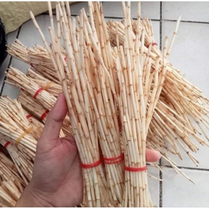 

promo akar alang alang segar untuk ginjal