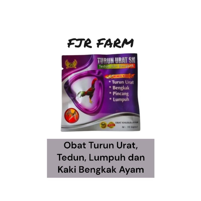 TURUN URAT SN - Obat Turun Urat / Tedun / Pincang Ayam Ampuh