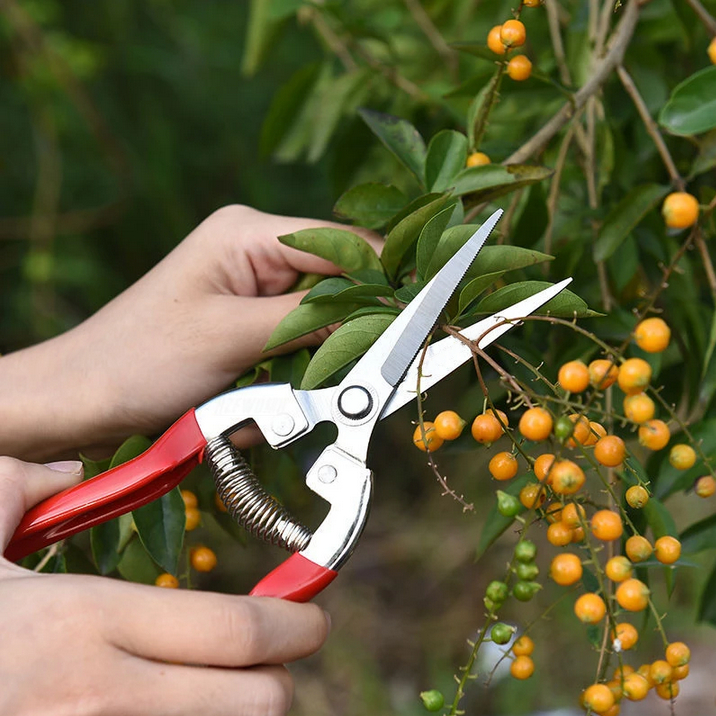 Gunting Taman Ranting Stainless Steel Pruning Scissors / Gunting Pemangkas Tanaman Stainless Steel