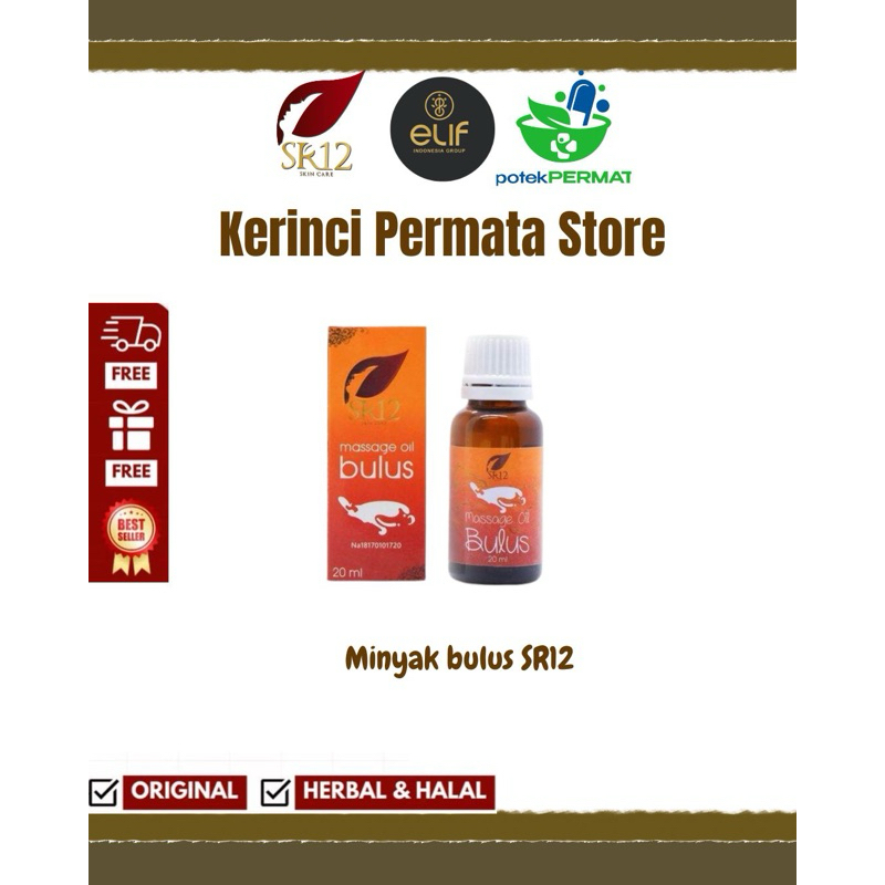 SR12 MINYAK BULUS / MINYAK BULUS ORI BPOM SR12