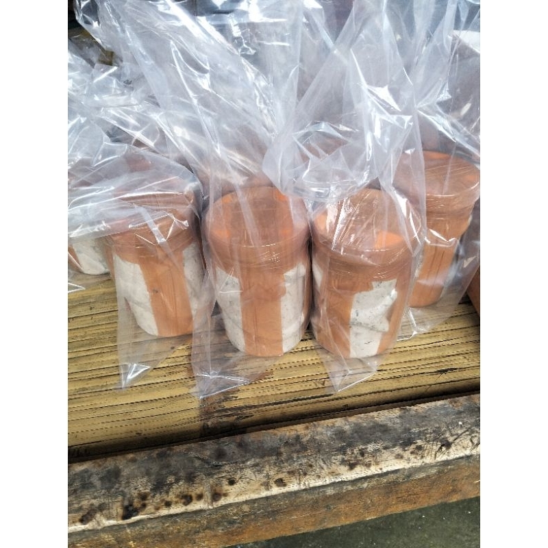 Promo Murah , umpan kucur Mania 500gram / 1 kilogram , umpan kucur baong baung rakus