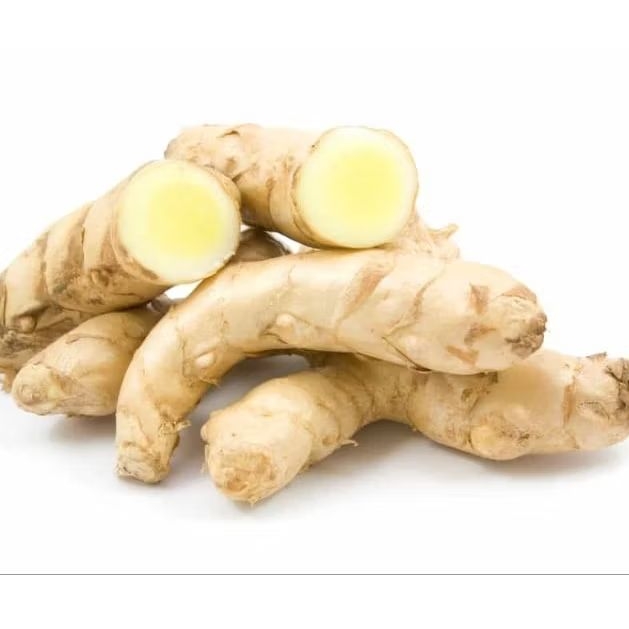 

Kuyit Putih Segar 1 kg organik obat herbal