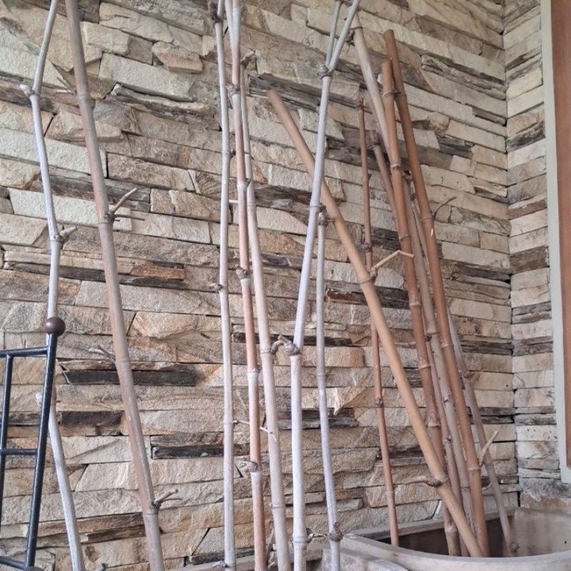 bahan bonsai serut