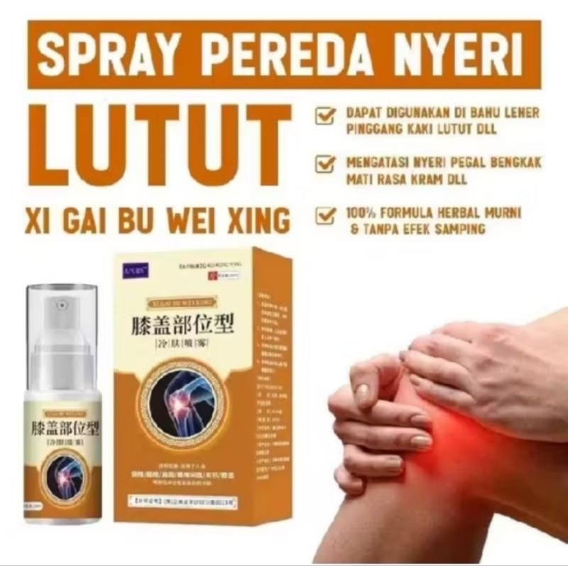 APHGM SPRAY PEREDA NYERI LUTUT / SPRAY PREDA NYERI SENDI