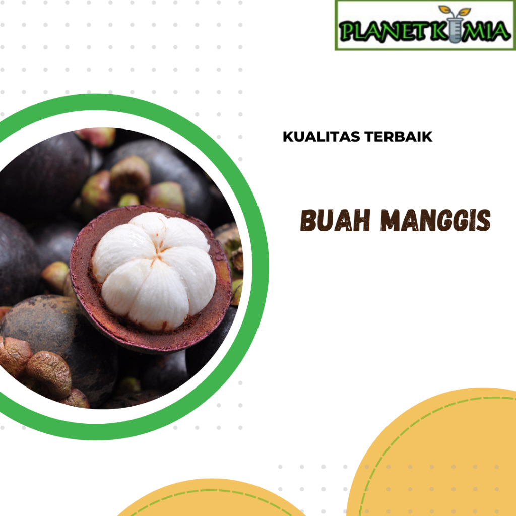 

ekstrak buah manggis best product