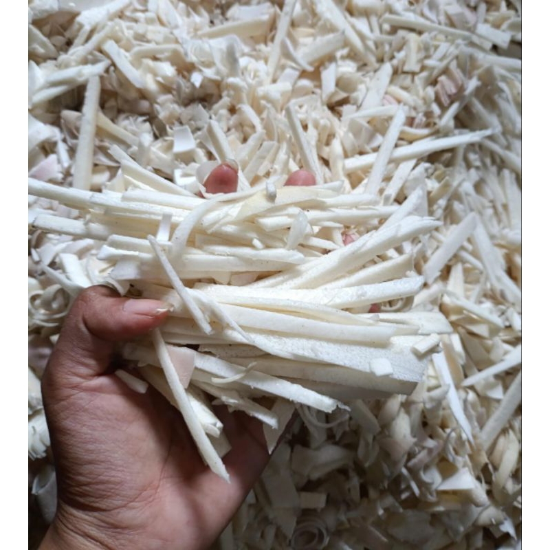 

REBUNG BITUNG DESA ASLI