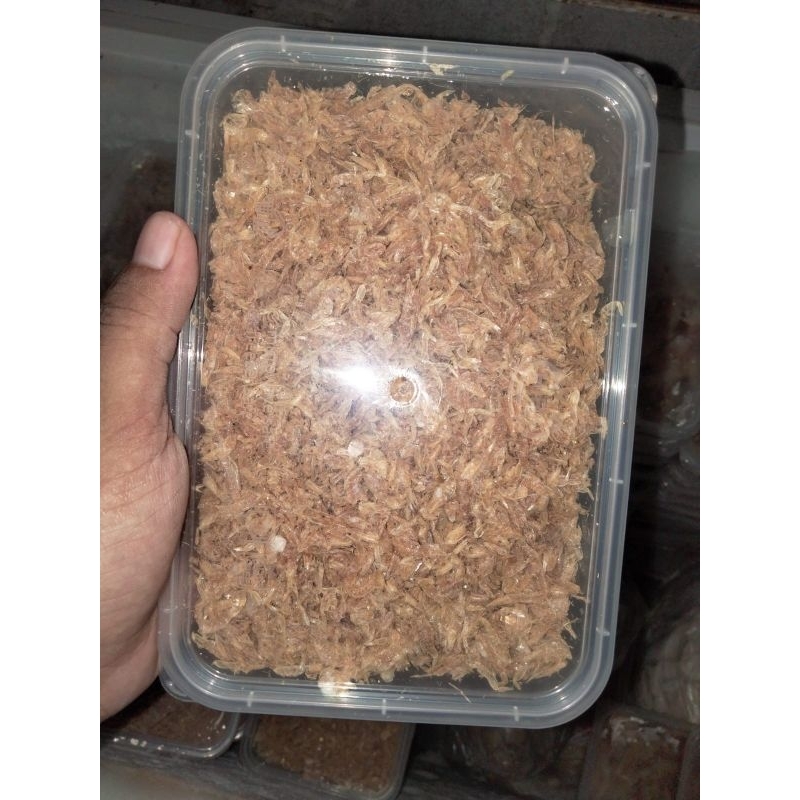 

UDANG REBON