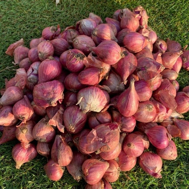 

1kg Bawang merah segar pilihan