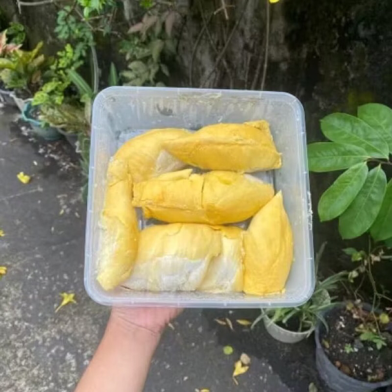 

DURIAN BAWOR PERBOX