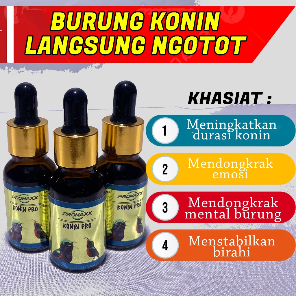 PENGGACOR PROMAXX KONIN PRO VITAMIN AGAR KONIN AUTO NGELEPER