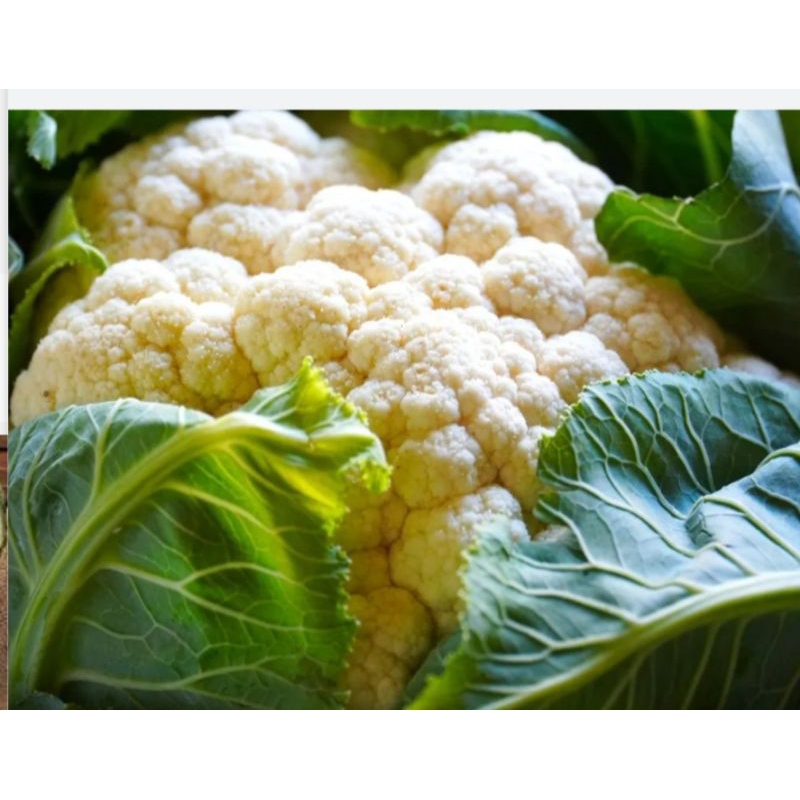 

Sayur Kembang Kol ½kg - 500gram