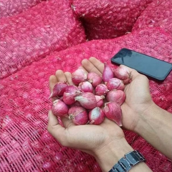

{ 500 GRAM } Bawang Merah Super [ 1 kg ] ukuran besar / pilihan