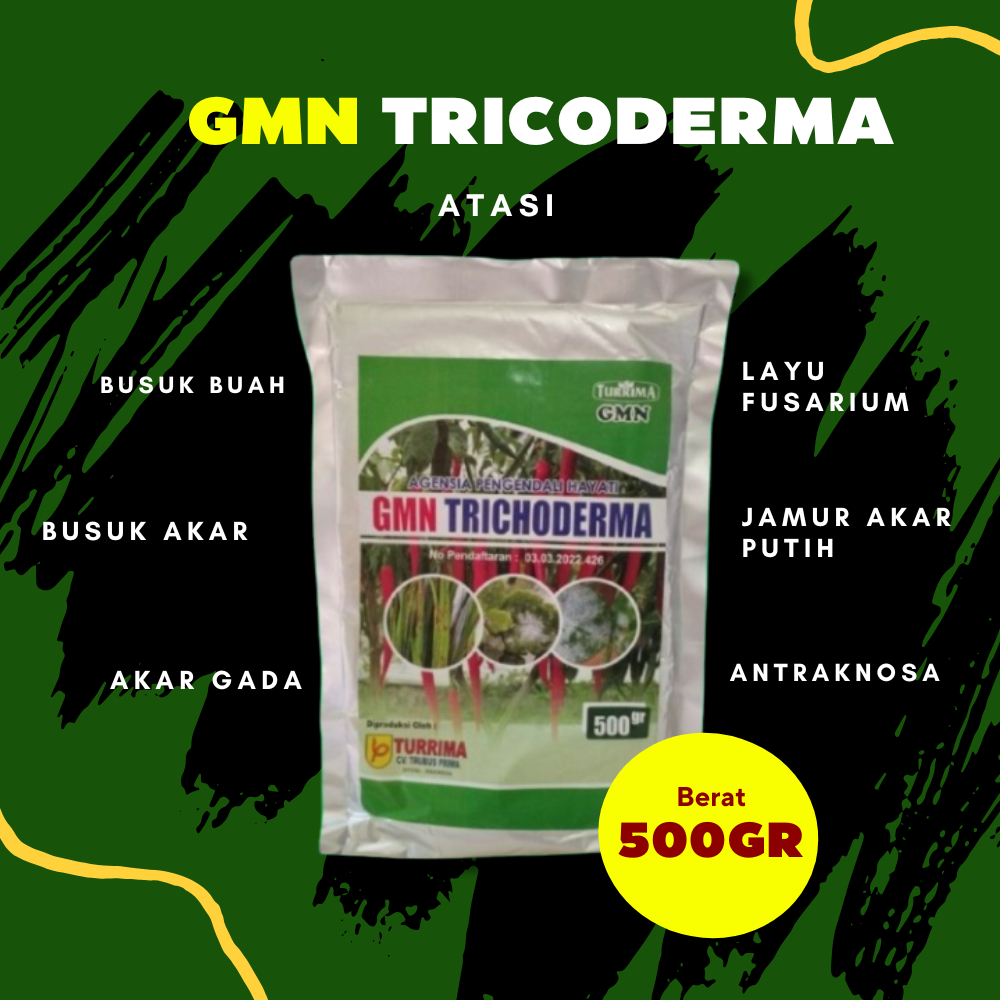 GMN TRICODERMA Serbung Ppuk Pengendali Penyakit Layu Fusarium, Tricoderma Fungisida Hayati Untuk Tom