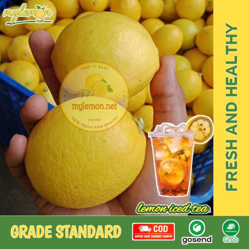 

Lemon California Fresh 1 Kg / 1000 gram Isi 8-13 | Cocok Untuk Infused Water | [MYLEMON.NET]