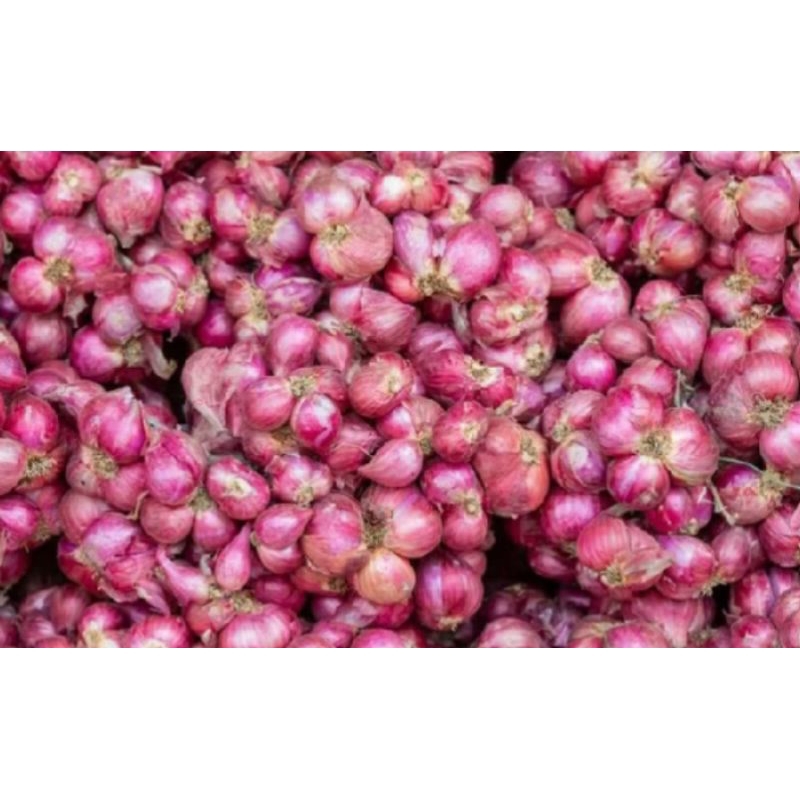 

bawang merah kering super asli nganjuk