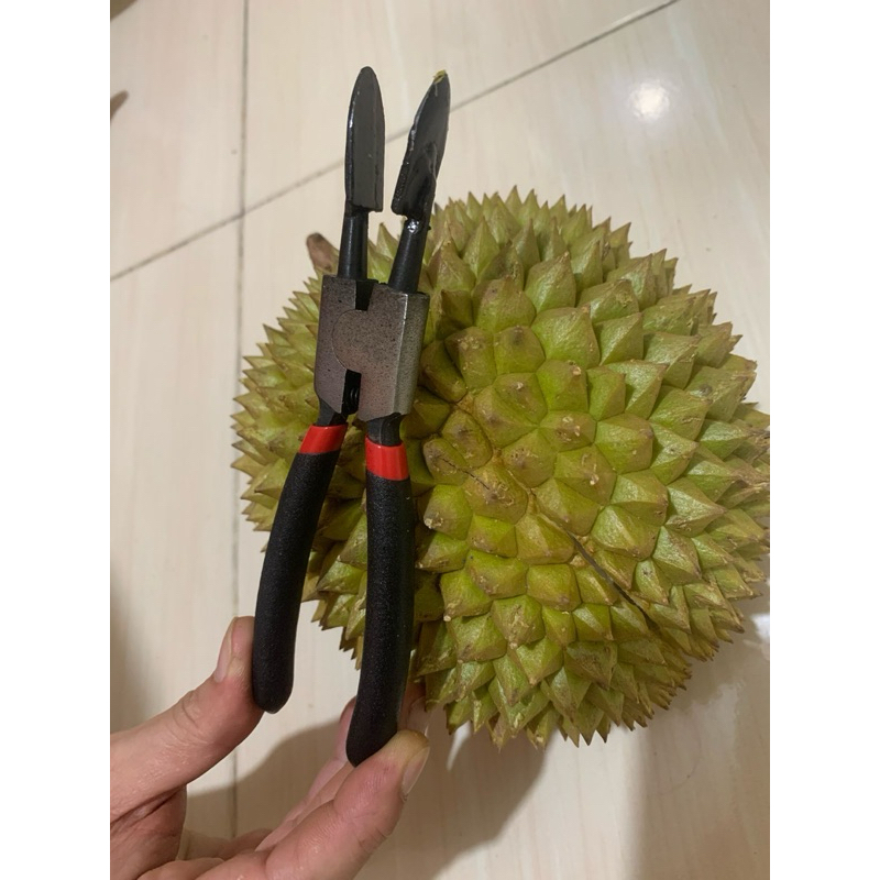 ALAT PENGUPAS/PEMBUKA DURIAN, TANG PEMBUKA DURIAN