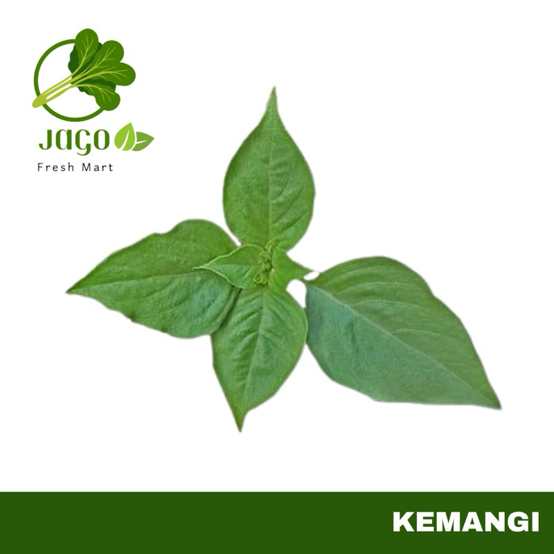 

INSTANT Daun Kemangi