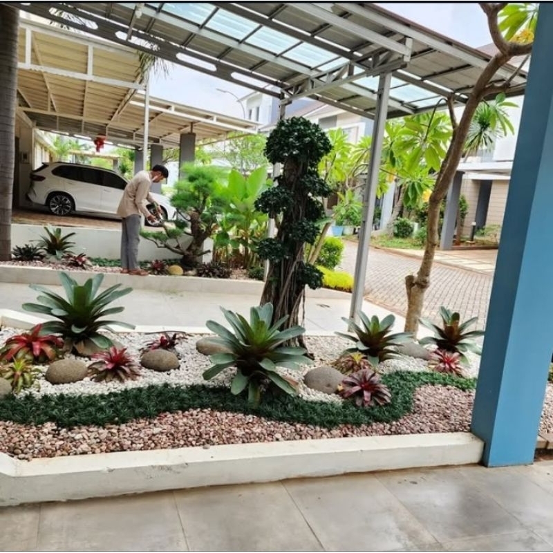 taman kering batu koral