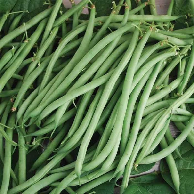

buncis segar sayur fresh