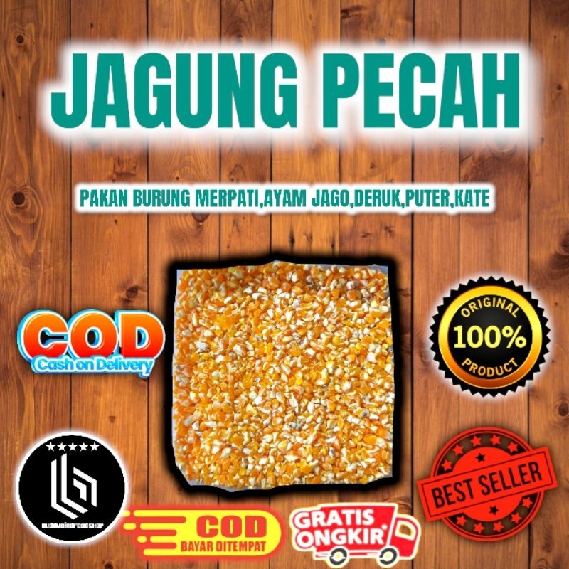 Jagung pecah pakan ayam jago,kate,serama,merpati,burung derkuku,puter dll
