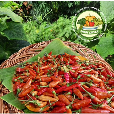 

Cabe Rawit segar Organik Fresh harga per 100gr