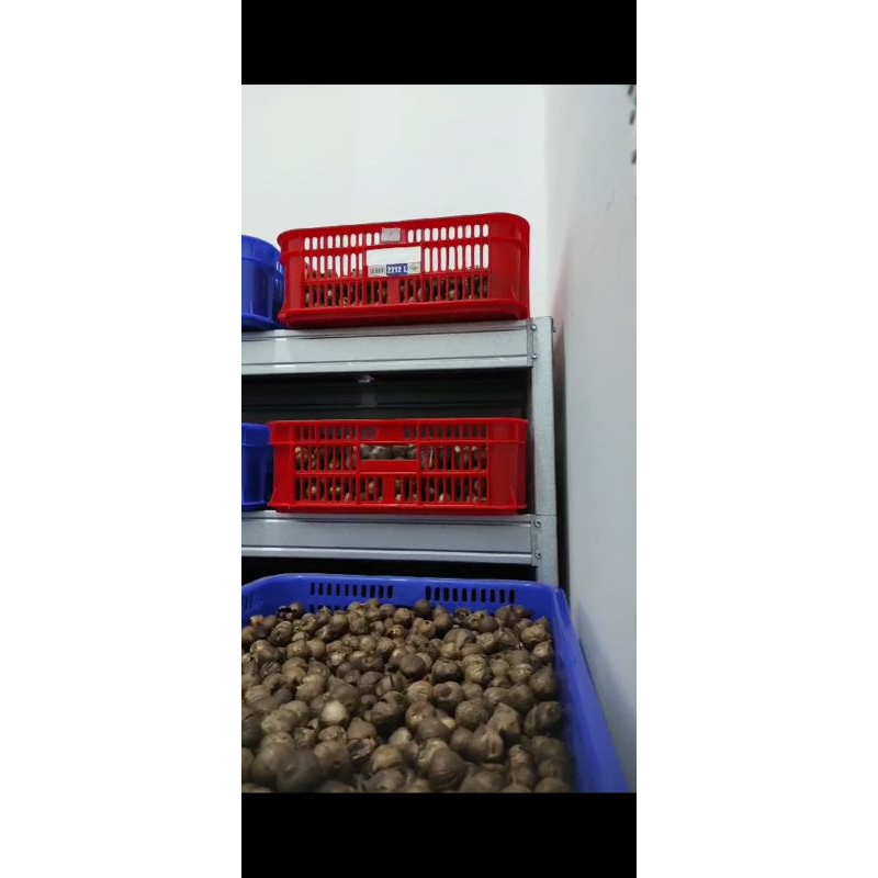 

Black Garlic / Bawang Hitam Tunggal 250 gram.